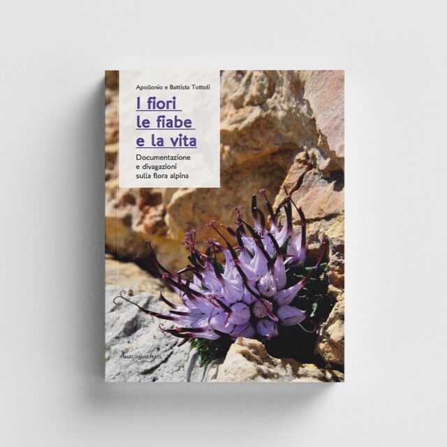 I FIORI LE FIABE E LA VITA